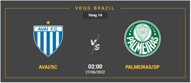 Avai SC vs Palmeiras SP